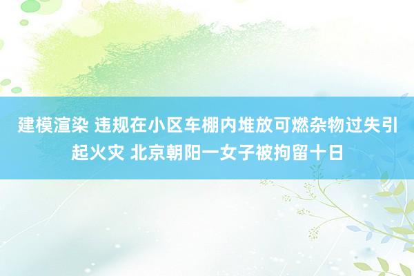 建模渲染 违规在小区车棚内堆放可燃杂物过失引起火灾 北京朝阳一女子被拘留十日